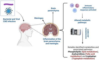 LC–MS metabolomics and lipidomics in cerebrospinal fluid from viral and bacterial CNS infections: a review